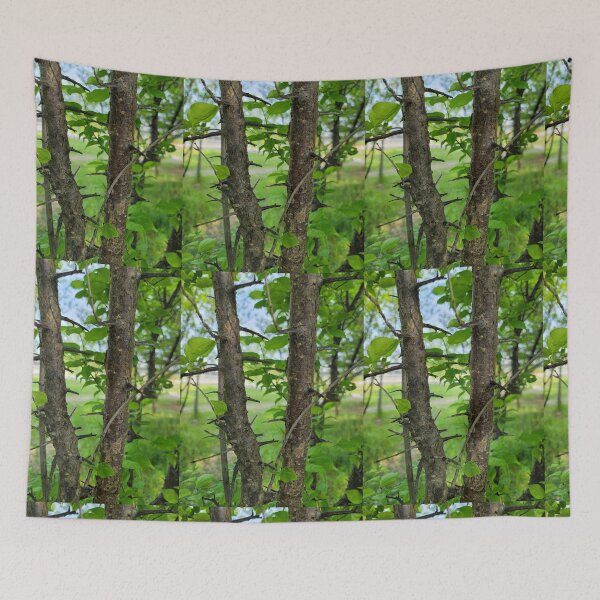 Item preview, A thorn tree on the weir of the Yeongsan River next to the Sports Complex in Buk-gu, Gwangju,korea designed and sold by human8891.