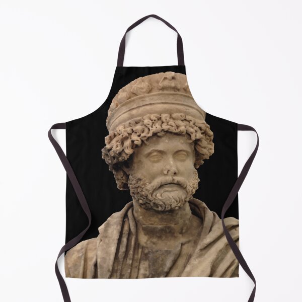 Item preview, Antonius Claudius Dometeinos Bouleuterion of Aphrodisias designed and sold by taiche.