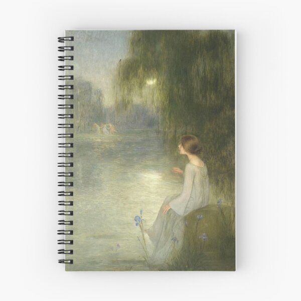 Item preview, Joan Brull Vinyoles - Somni designed and sold by artcenter.
