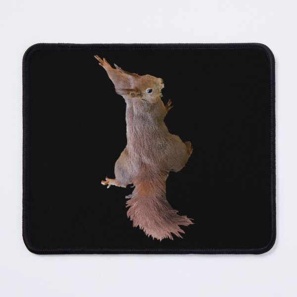 Item preview, Cute Squirrel Climbing Photography Animal Lovers designed and sold by joseartgel.