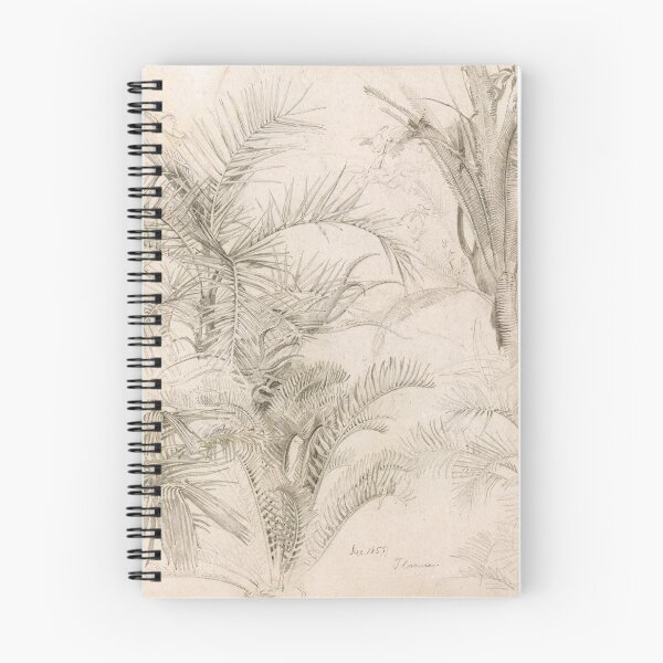 Item preview, Vintage Palm Tree Sketch Drawing, 1855 designed and sold by Vintage Wall Art.