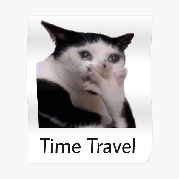 "time travel funny crying cat meme" Poster for Sale by faememez | Redbubble