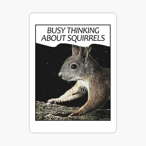 "Busy Thinking About Squirrels parody design" Sticker by Whatwilleye
