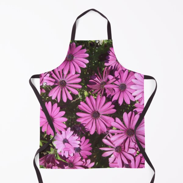 Item preview, Magenta Pink Osteospermum Flowers In The Garden Photograph designed and sold by taiche.