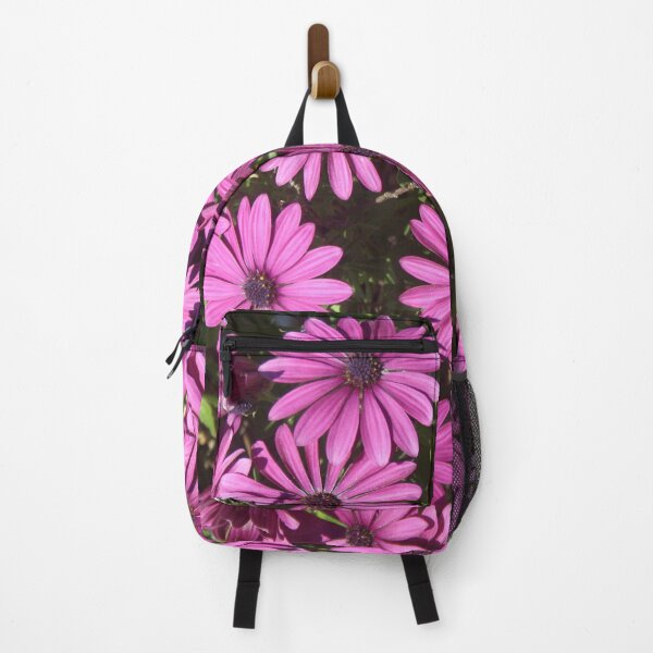 Item preview, Magenta Pink Osteospermum Flowers In The Garden Photograph designed and sold by taiche.