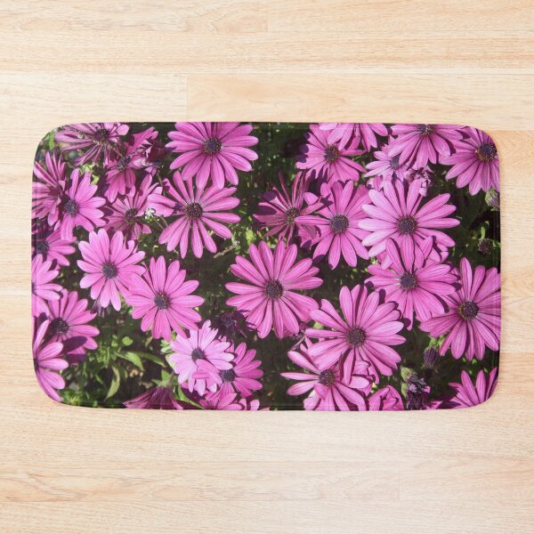 Item preview, Magenta Pink Osteospermum Flowers In The Garden Photograph designed and sold by taiche.