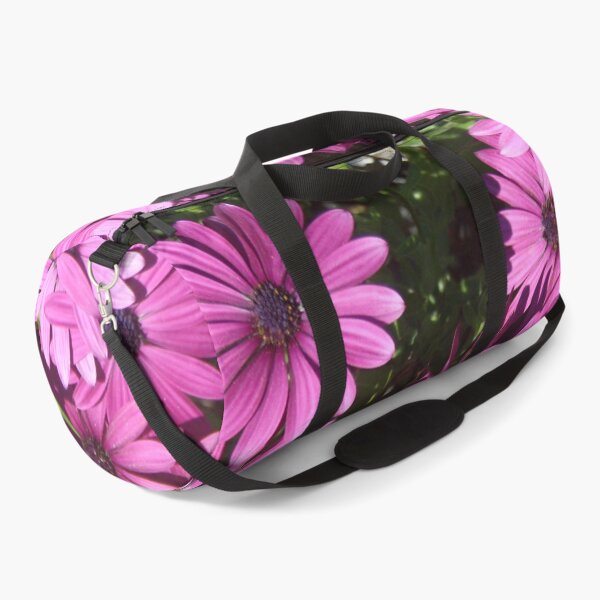 Item preview, Magenta Pink Osteospermum Flowers In The Garden Photograph designed and sold by taiche.