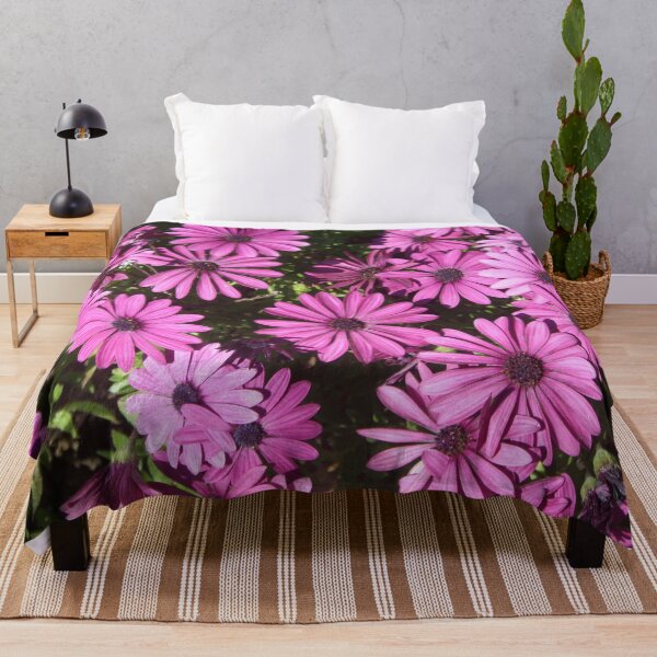 Item preview, Magenta Pink Osteospermum Flowers In The Garden Photograph designed and sold by taiche.