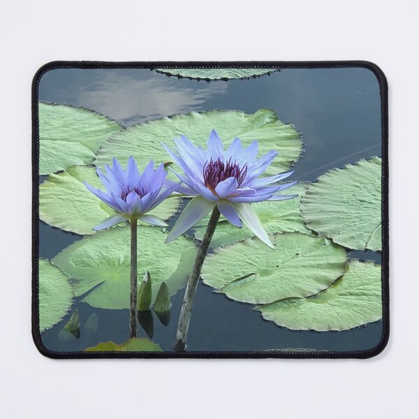Item preview, Water Loving Lilies designed and sold by KMHPhotography.