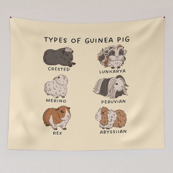Aperçu de l'œuvre Types de cochon d'Inde - cadeau drôle de cochon d'Inde créée et vendue par Paperfly Studio.