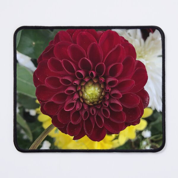 Item preview, Deep Dark Dahlia Delights designed and sold by KMHPhotography.