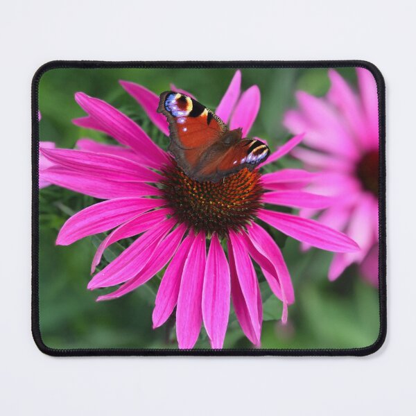 Item preview, Butterfly & Beautiful Blooms designed and sold by KMHPhotography.
