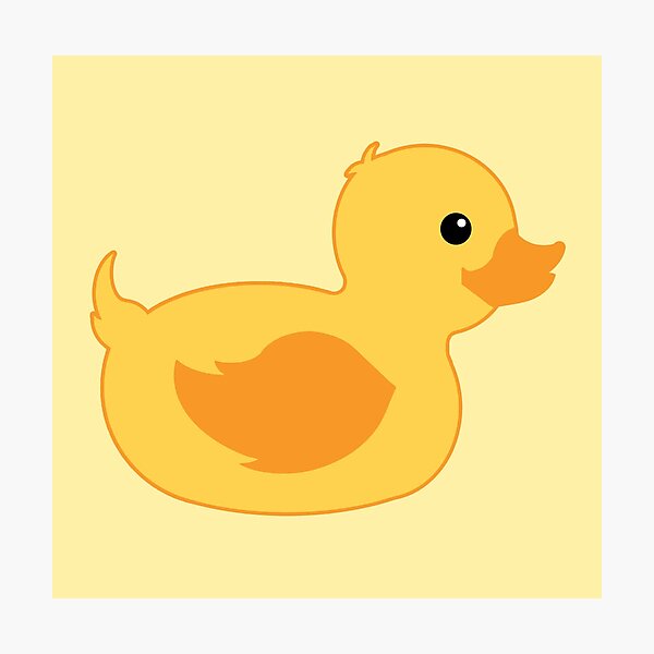 Duck Photographic Prints | Redbubble