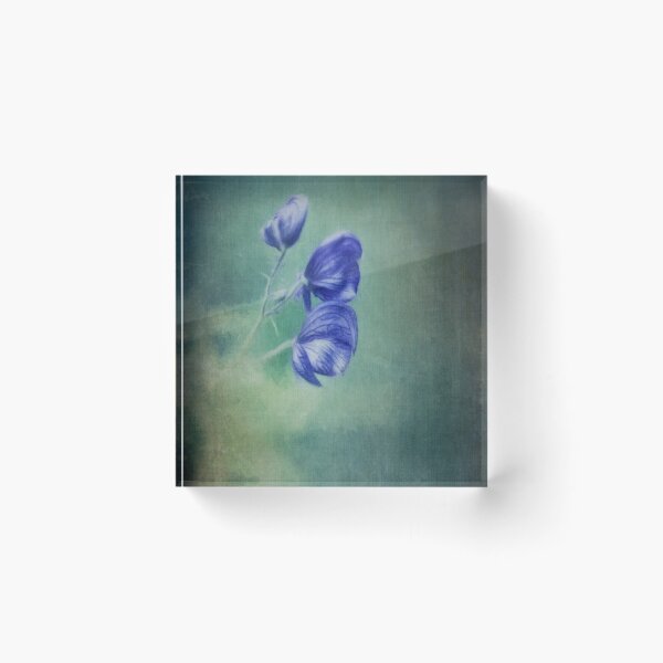 Item preview, Blooming in the dark designed and sold by Priska Wettstein.