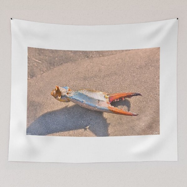 Item preview, Crab Claw designed and sold by LisaWootenPhoto.