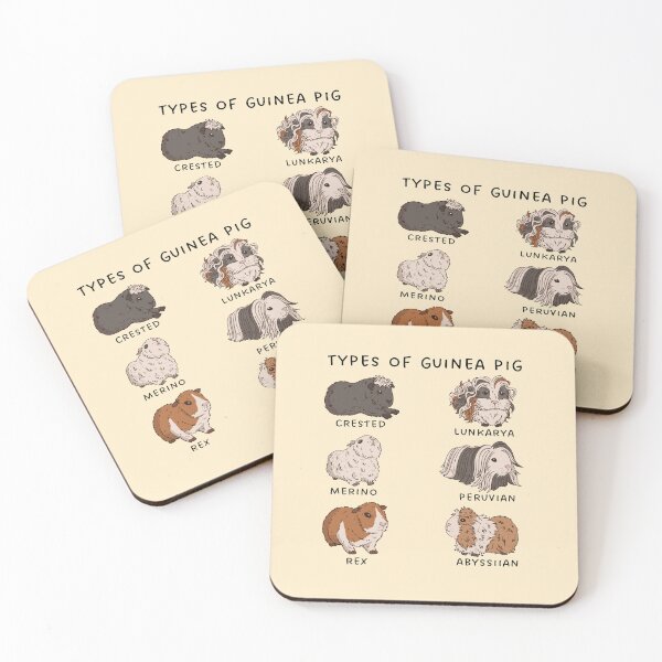 Aperçu de l'œuvre Types de cochon d'Inde - cadeau drôle de cochon d'Inde créée et vendue par Paperfly Studio.