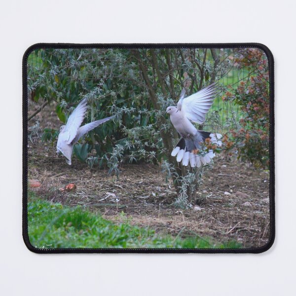 Item preview, Game of doves designed and sold by AHELENE.