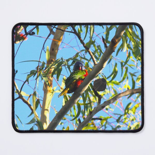 Item preview, Rainbow lorikeet designed and sold by AHELENE.
