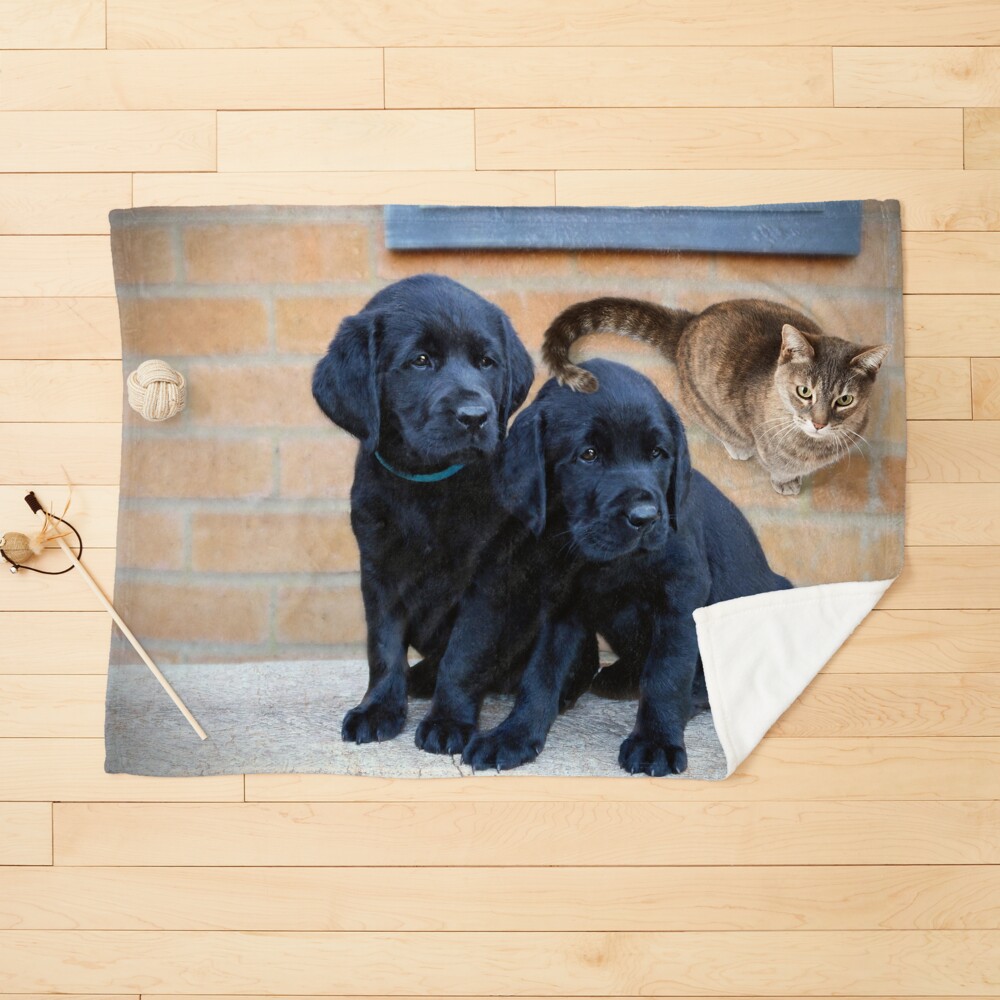 Item preview, Pet Blanket designed and sold by ScenicViewPics.