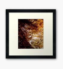 Genesis Framed Print