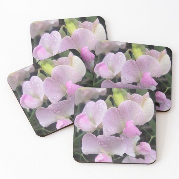 Item preview, Everlasting Sweetpeas designed and sold by KMHPhotography.