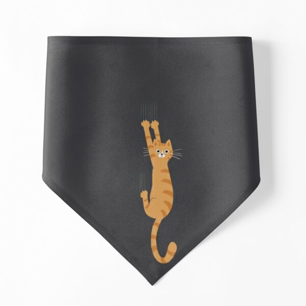 Grey Tabby Cat Hanging On, Funny Gray Striped Cat Holding On with Claws  Pet Bandana for Sale by Jenn Inashvili