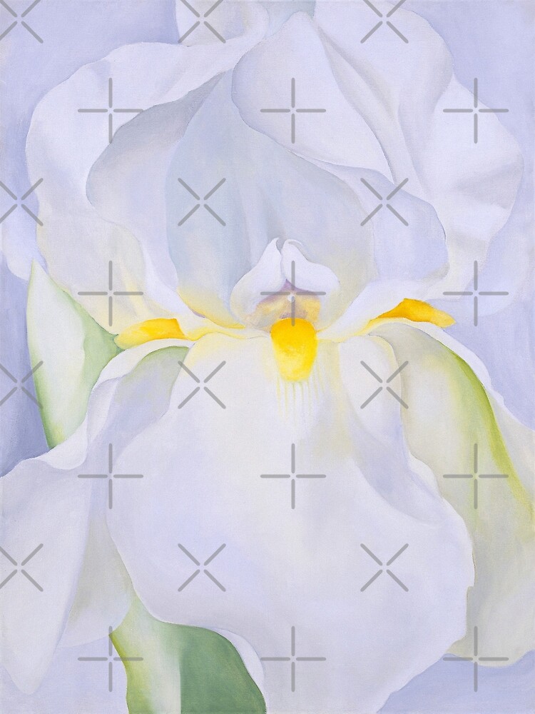 o keeffe white iris