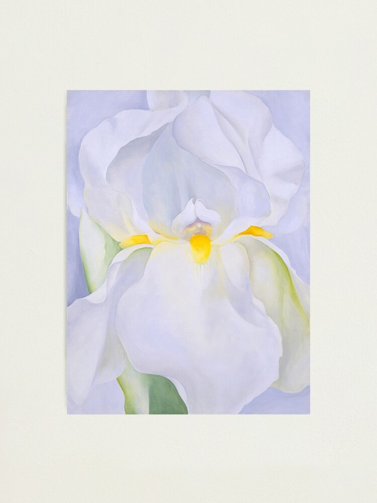 White Iris No. 7 1957 by Georgia O Keeffe