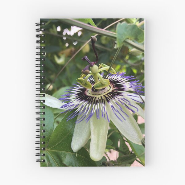 Item preview, Passion Flower designed and sold by KMHPhotography.