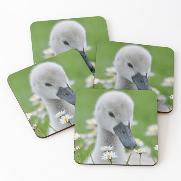 Item preview, The Cygnet in The Daisies designed and sold by ClaireChown.