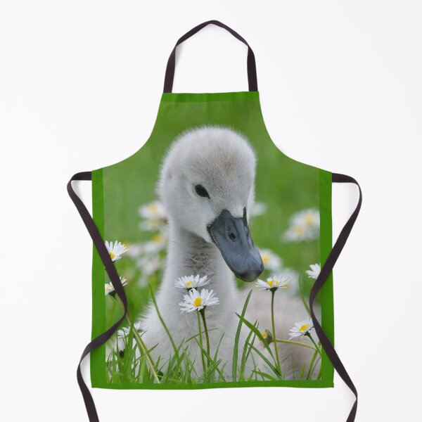 Item preview, The Cygnet in The Daisies designed and sold by ClaireChown.