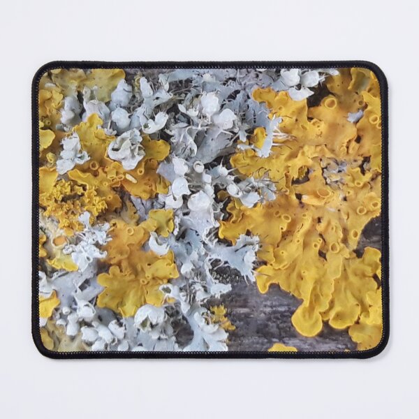 Item preview, Lichen designed and sold by amanda150771.