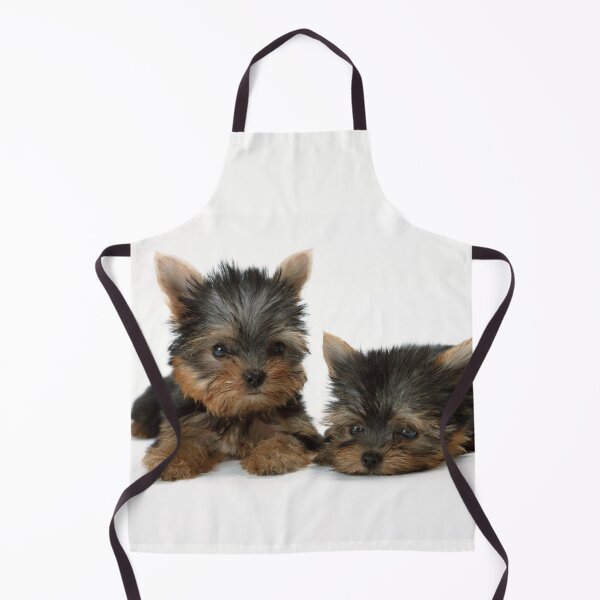Item preview, Two puppies. Cute yorkshire terrier designed and sold by TasseCreative.