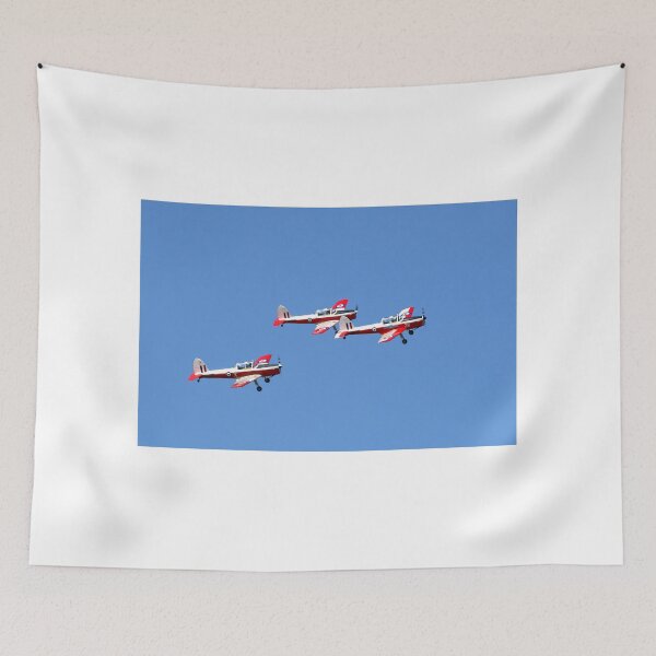 Item preview, DHC Chipmunk T10 display designed and sold by days-photographic.