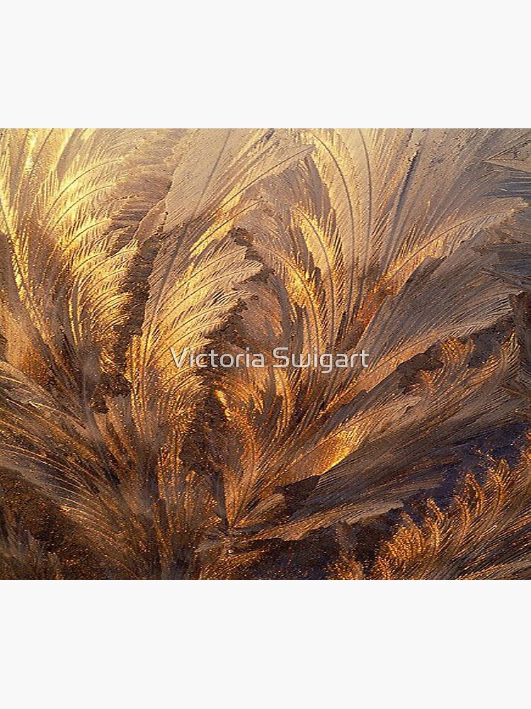 Gold Feathers Poster for Sale by Victoria Swigart