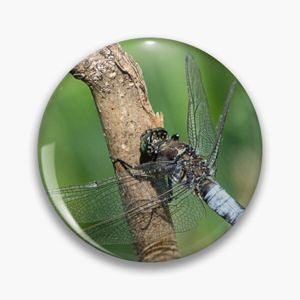 Item preview, Dragonfly, Broad Bodied Chaser designed and sold by DonMc.