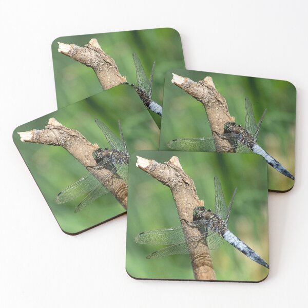 Item preview, Dragonfly, Broad Bodied Chaser designed and sold by DonMc.