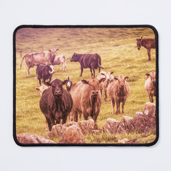 Item preview, Roving Photographer Groupies designed and sold by Jim Love.