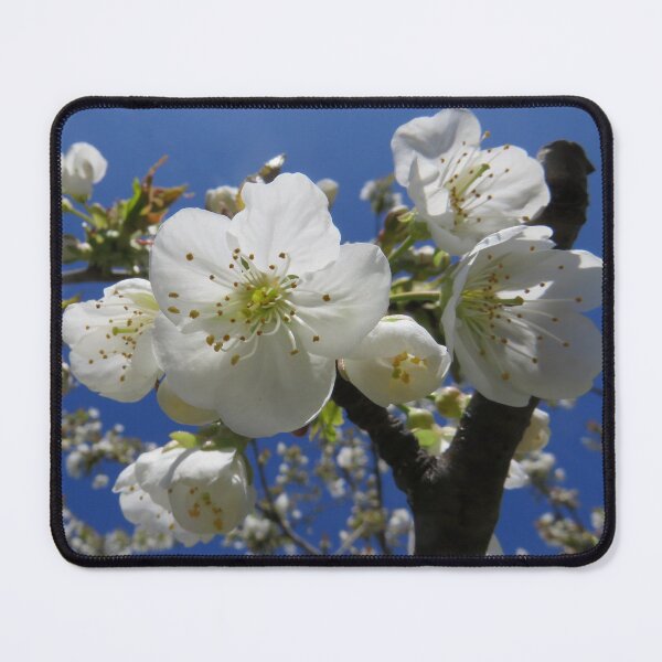 Item preview, Grappes de fleurs de cerisier designed and sold by AHELENE.