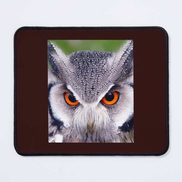 Item preview, OWL IN BEAUTIFUL COLORS. designed and sold by marie1919.