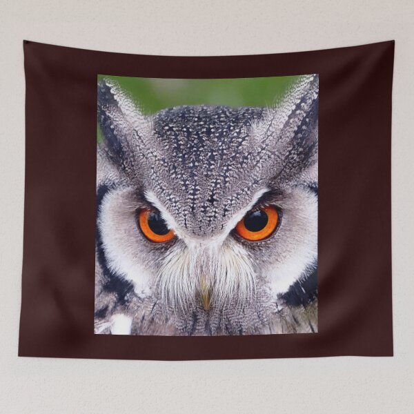 Item preview,  OWL IN BEAUTIFUL COLORS. designed and sold by marie1919.