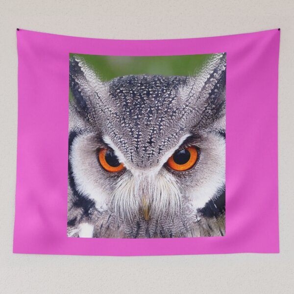 Item preview,  OWL IN BEAUTIFUL COLORS. designed and sold by marie1919.