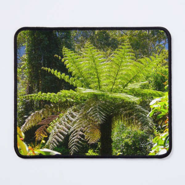 Item preview, Dicksonia antarctica designed and sold by AHELENE.