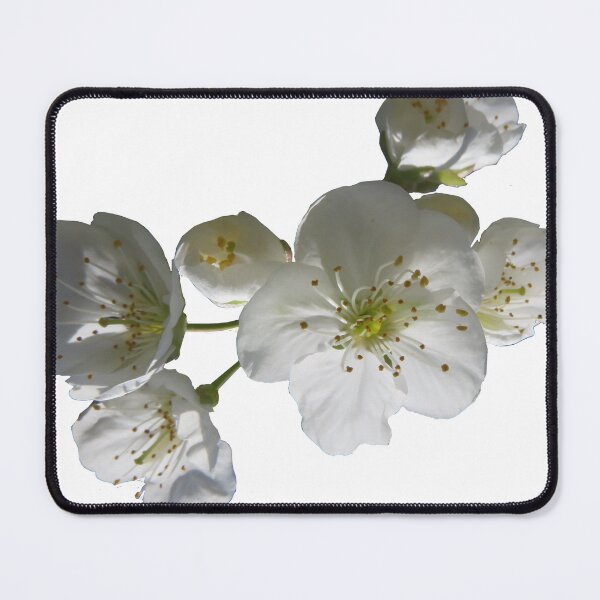 Item preview, cherries in blosssom on white background designed and sold by AHELENE.