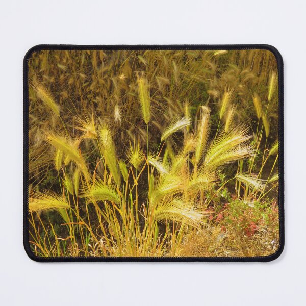 Item preview, barley grass designed and sold by AHELENE.