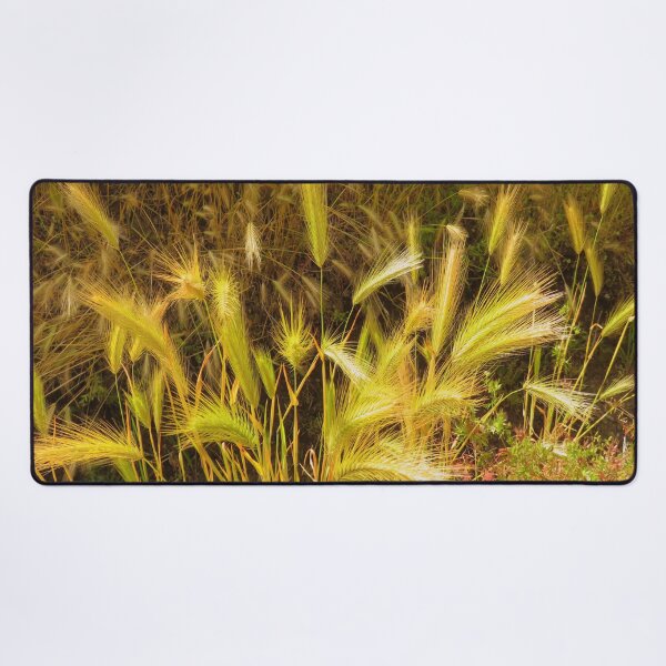 Item preview, barley grass designed and sold by AHELENE.