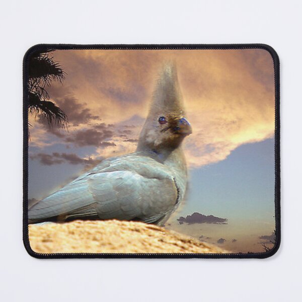 Item preview, Lory designed and sold by CrismanArt.