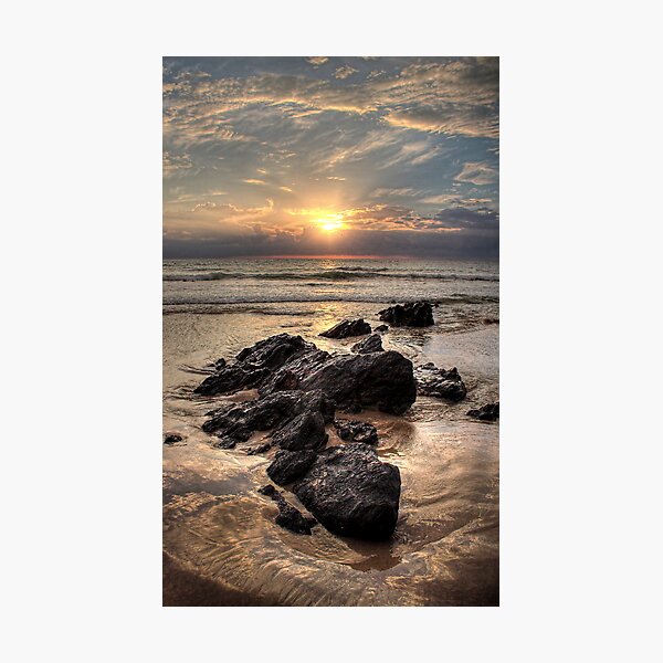 The Sultans of Swim Photographic Print