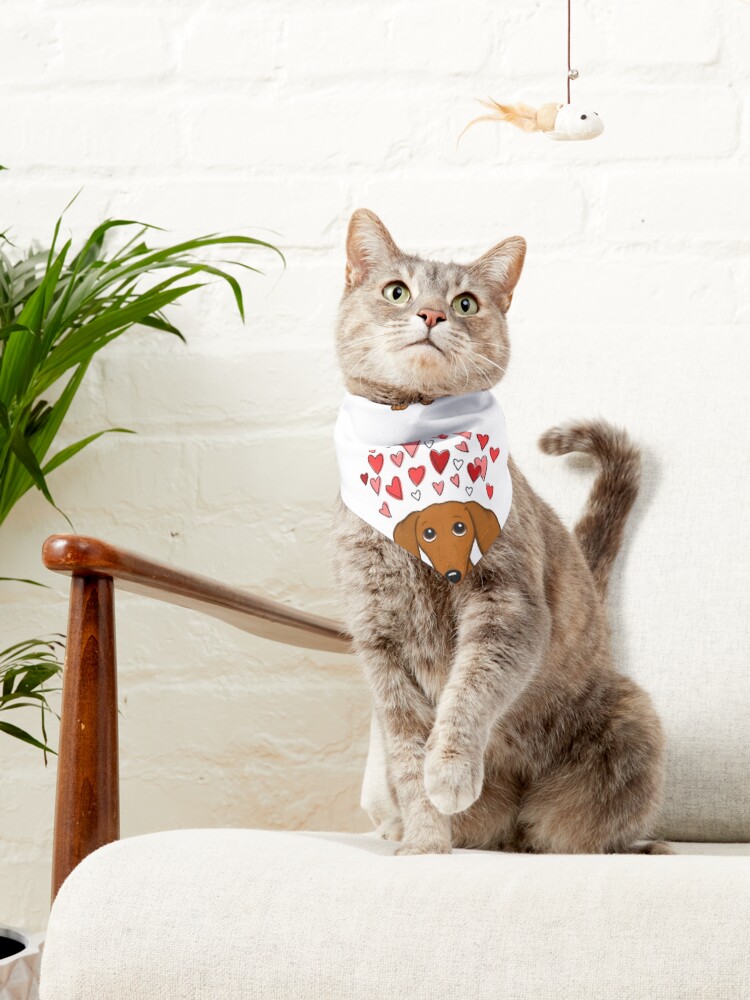 Alternate view of Cute Dachshund with Hearts Pet Bandana