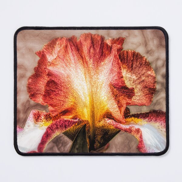 Item preview, Iris Delight designed and sold by Jim Love.